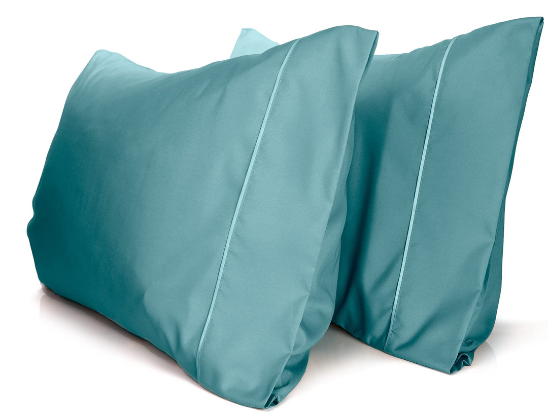 a pair of blue pillows